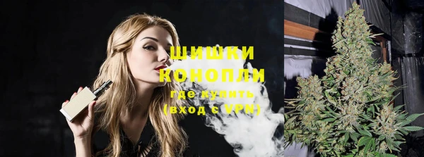 гашик Михайловка