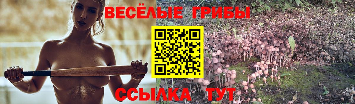 Галлюциногенные грибы MAGIC MUSHROOMS Сыктывкар