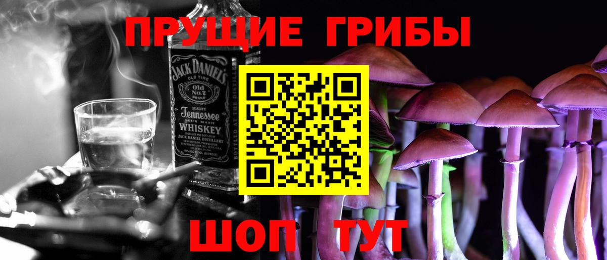 Сыктывкар  Галлюциногенные грибы прущие грибы  Вход с VPN 