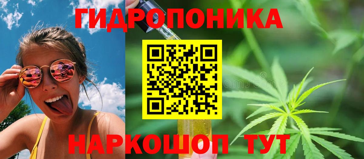Конопля план Сыктывкар